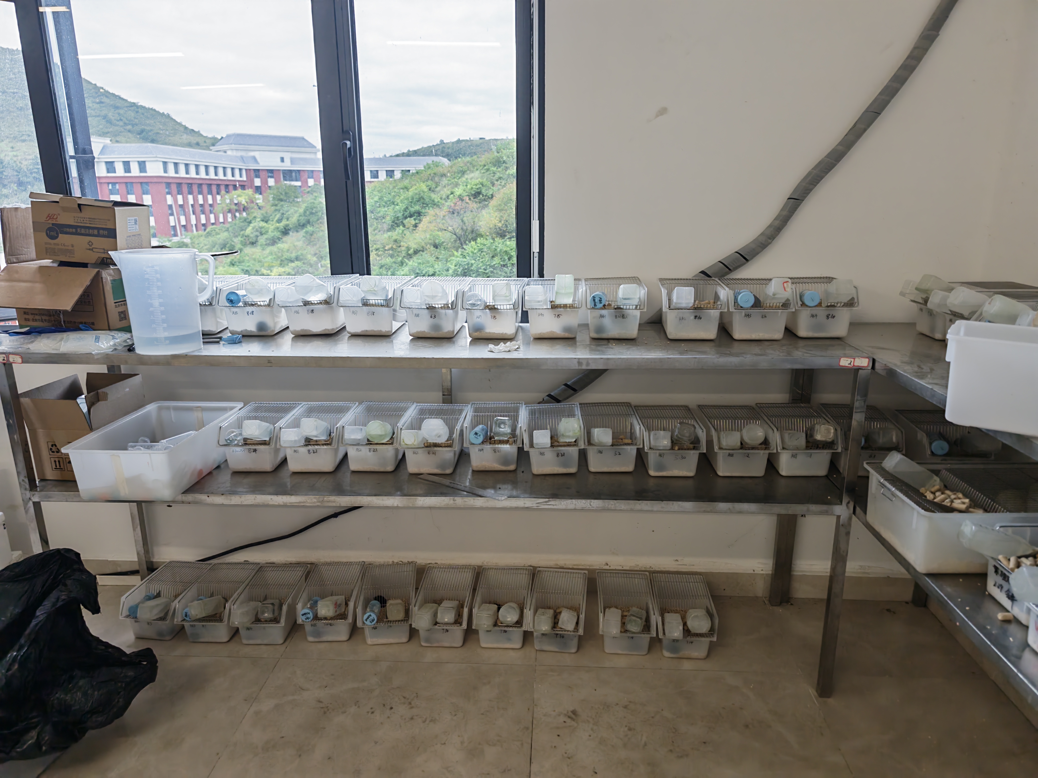 图3：所有小鼠均已放置两个糖水饮水器